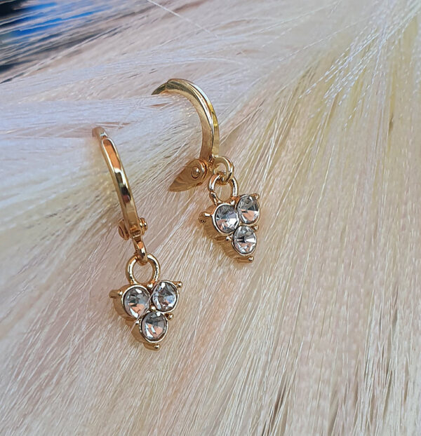 Daliah earrings